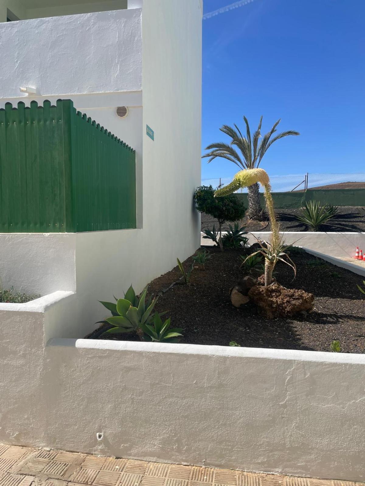 Fuertesun Dunas Beach Parque Holandes Eksteriør bilde